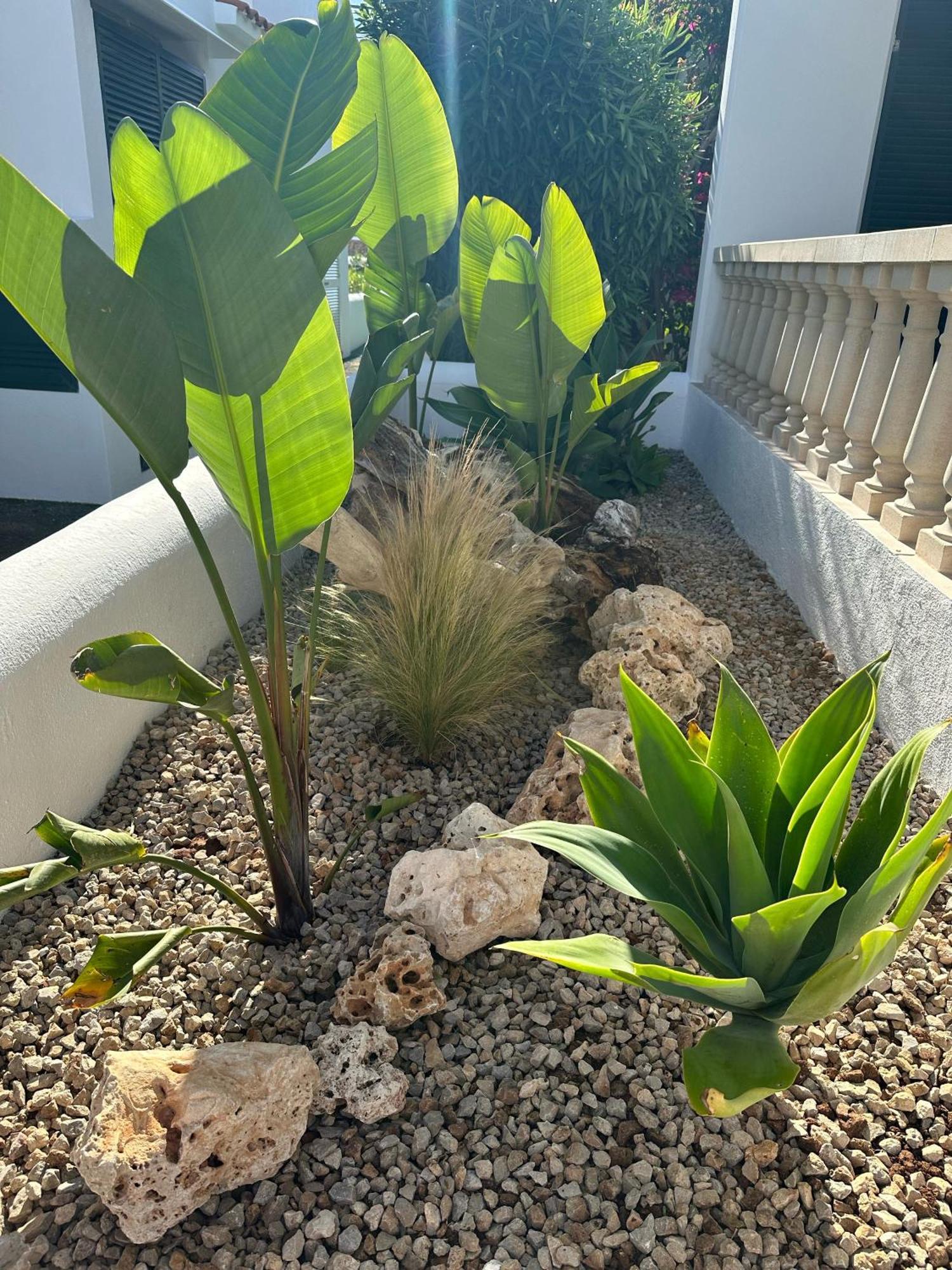 Villa Diplomado Es Mercadal Ngoại thất bức ảnh